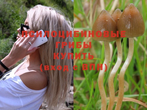 a pvp Иннополис